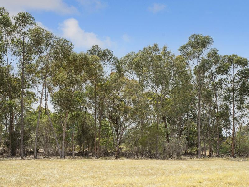 Stage 2A Preston River Rise, Boyanup WA 6237