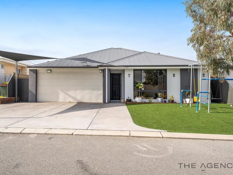 41 Saltbush Street, Wandi