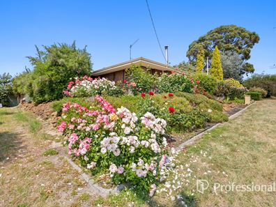 27 Allnutt Street, Donnybrook WA 6239