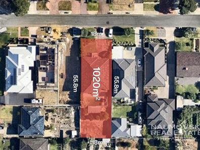 39 Alexander Street, Balcatta WA 6021