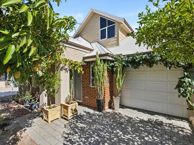 23 Dante Court, Bentley WA 6102