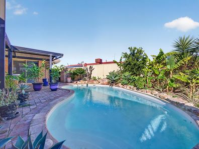 48 Underwood Grove, Kardinya WA 6163