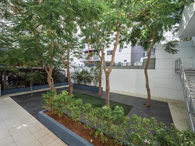 84/149-151 Adelaide Terrace, East Perth WA 6004