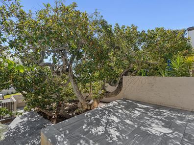 3/10 Avonmore Terrace, Cottesloe WA 6011