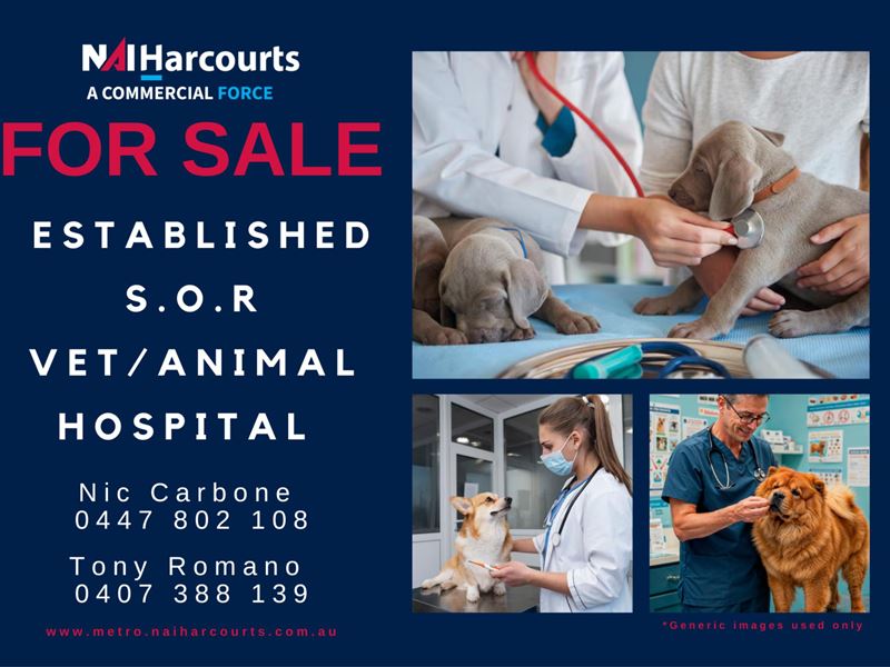Professional - Confidential Veterinary Practice | Established Animal Hospital | Prime S.O.R. Location