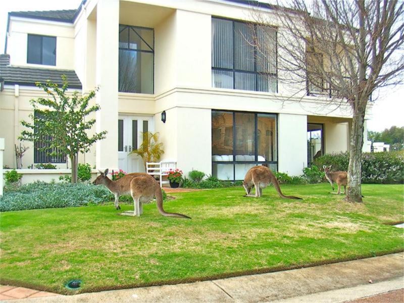 13 Bollinger Close, The Vines