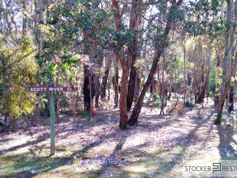8 Sabina Drive, Molloy Island