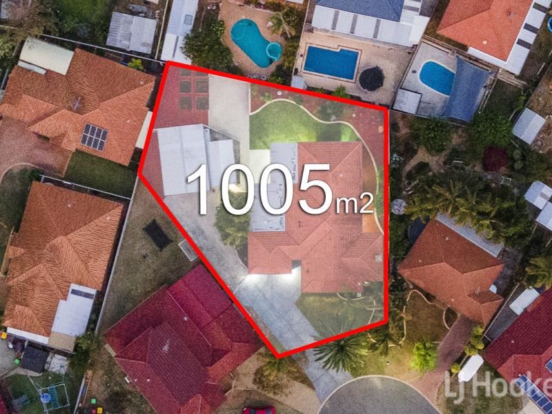 24 Daintree Court, Merriwa