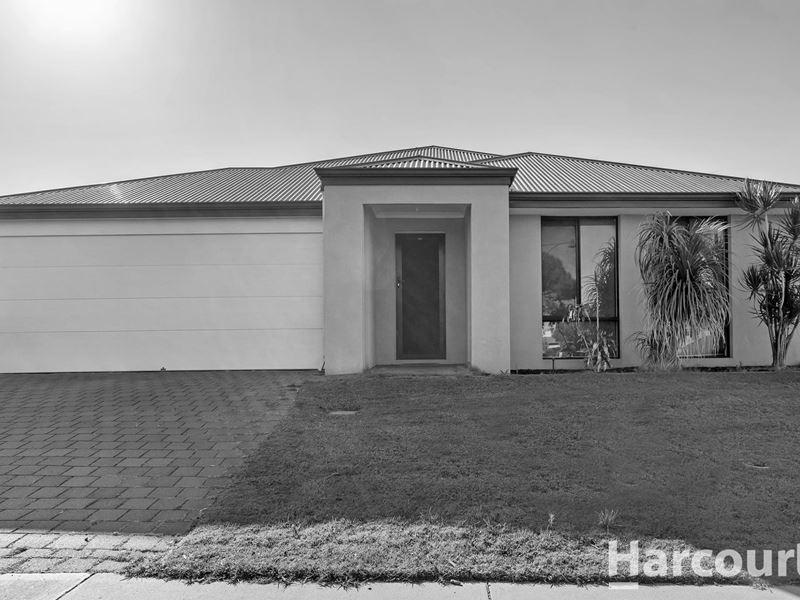 15 Cottonwood Drive, Baldivis WA 6171