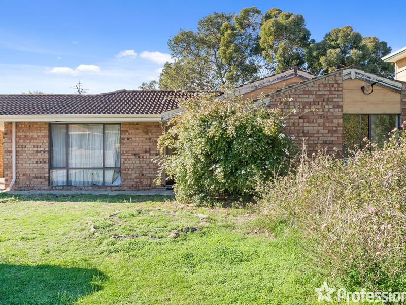 8 Redgum Avenue, Bellevue