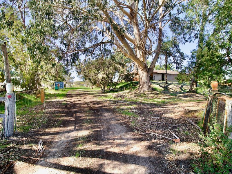 101 Tinson Road, Baldivis