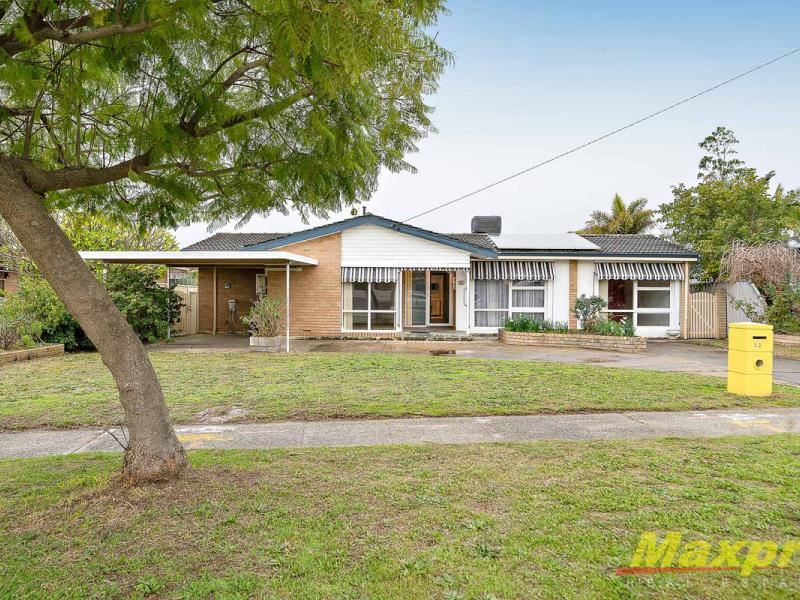 53 Watling Avenue, Lynwood