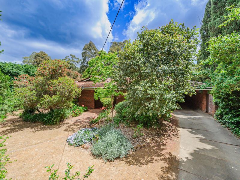 66 Orchid Drive, Roleystone