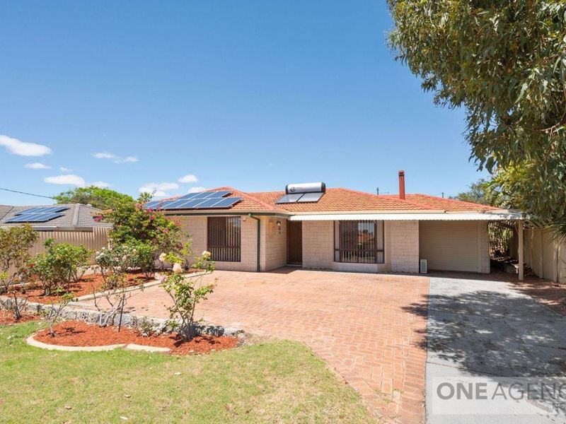 129 Warrandyte Drive, Craigie