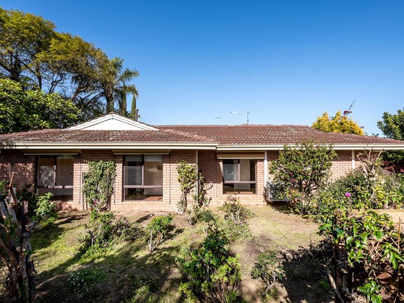 74A Hammad Street, Palmyra