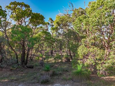 36 Marri Road, Julimar WA 6567