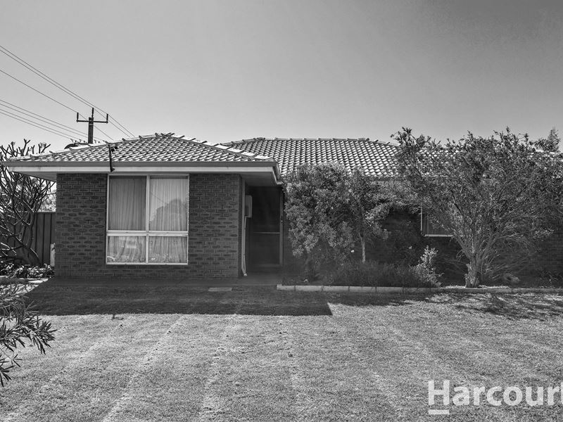 1A Scrivener Place, Halls Head