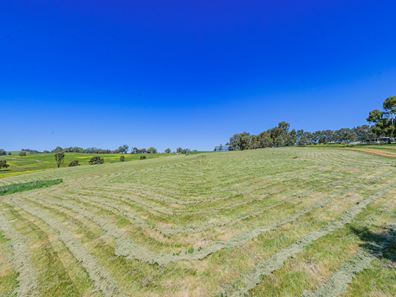 101 Alawoona Circle, Bullsbrook WA 6084