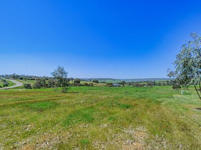 101 Alawoona Circle, Bullsbrook WA 6084