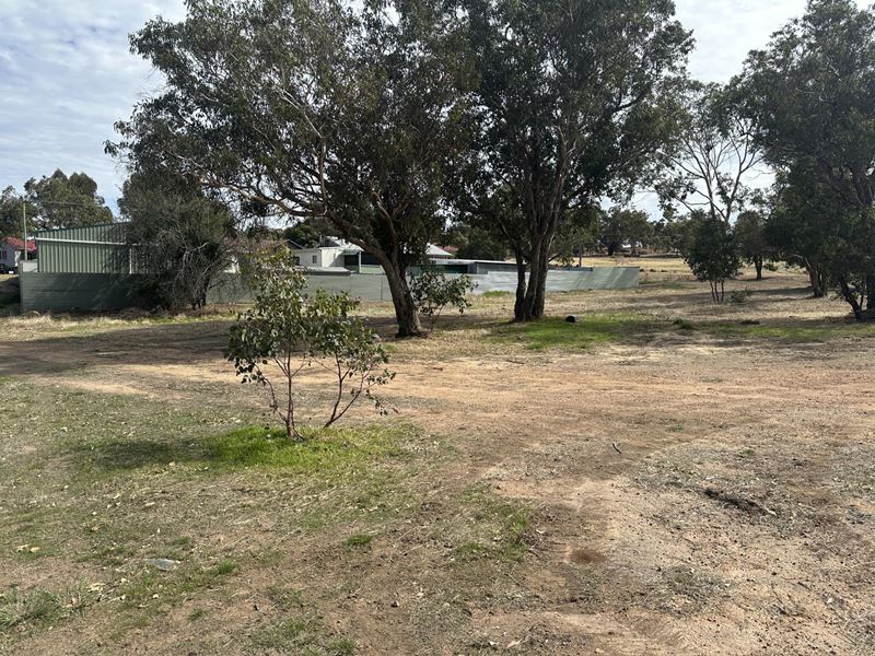6 Macbride  Street, Kojonup WA 6395