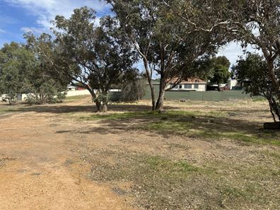 6 Macbride  Street, Kojonup WA 6395