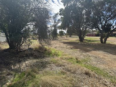 6 Macbride  Street, Kojonup WA 6395