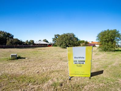 Lot 54 Mitchell Street, Spalding WA 6530