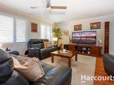 7 Shelley Place, Kallaroo WA 6025
