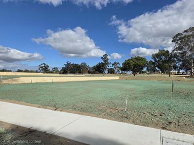 32 Engaging Boulevard, Jandakot WA 6164