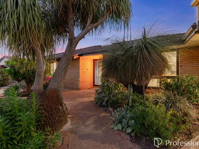 Willetton WA 6155