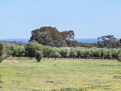 (P/L 1 - 4)  Lot 76 Sonning Loop, Yallingup WA 6282