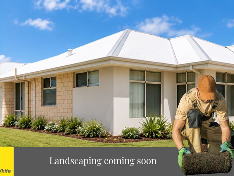 227 Pectoral Promenade, Alkimos WA 6038