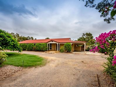 19 David Road, Waggrakine WA 6530