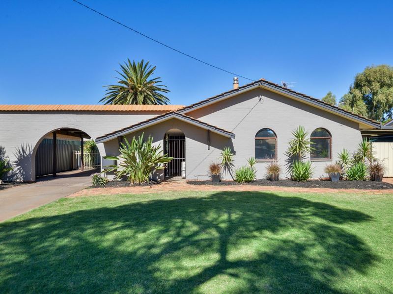 141 Addis Street, West Lamington