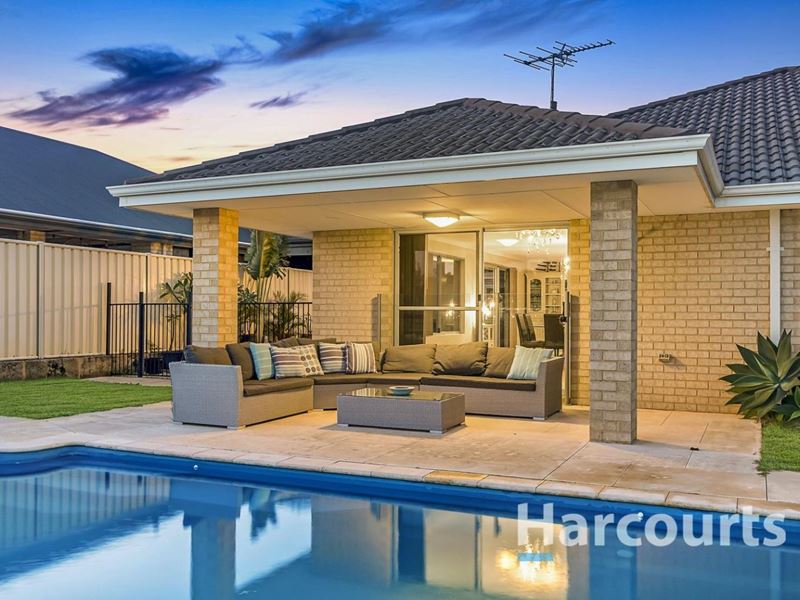 14 Cyandra Loop, Banksia Grove WA 6031