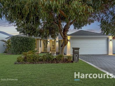 14 Cyandra Loop, Banksia Grove WA 6031