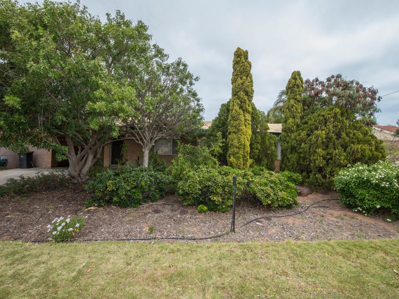 3 Gale Road, Wonthella