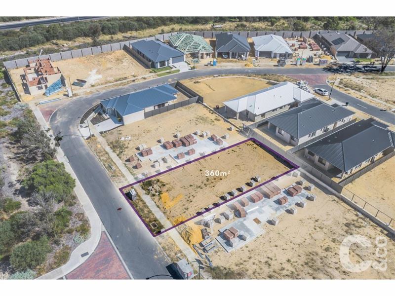 38 Luminous Loop, Wellard