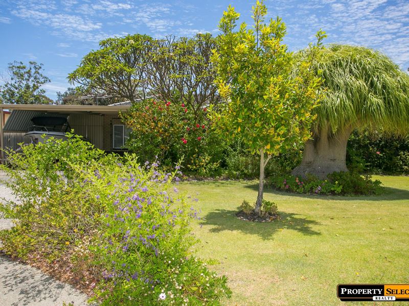 49 Collingwood Street, Dianella