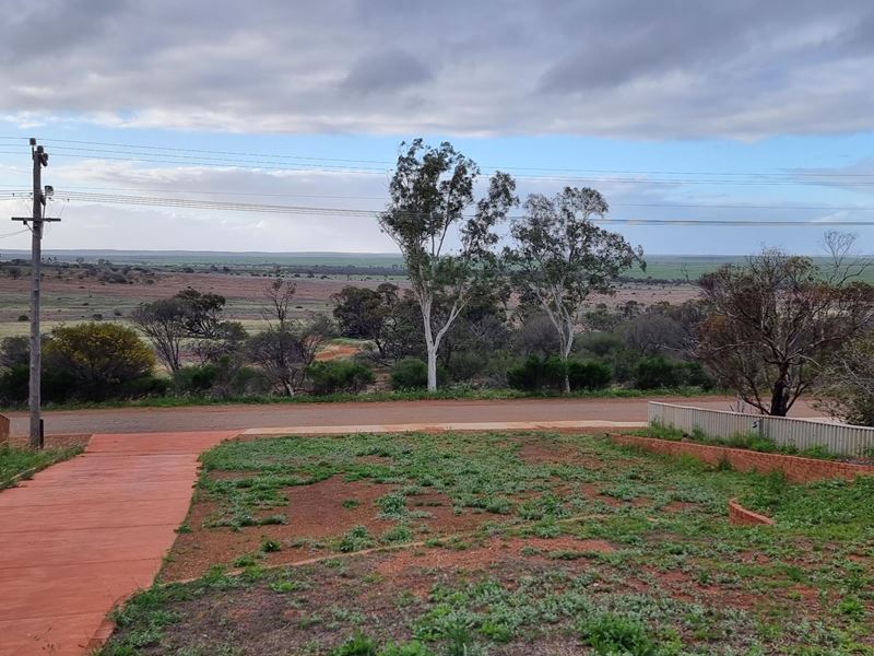 16 Birdwood Street, Mullewa