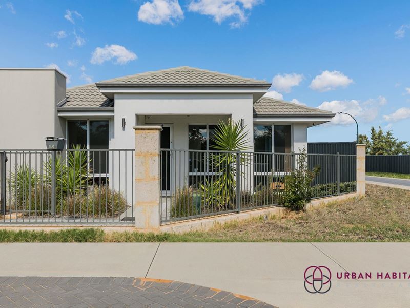 54 Jamison Grove, Wellard WA 6170