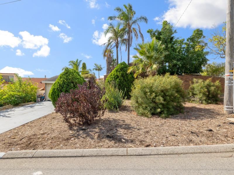 6 Hornet Rise, Willetton