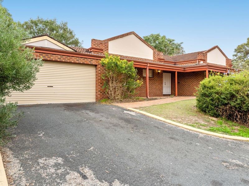 119 Vines Avenue, The Vines