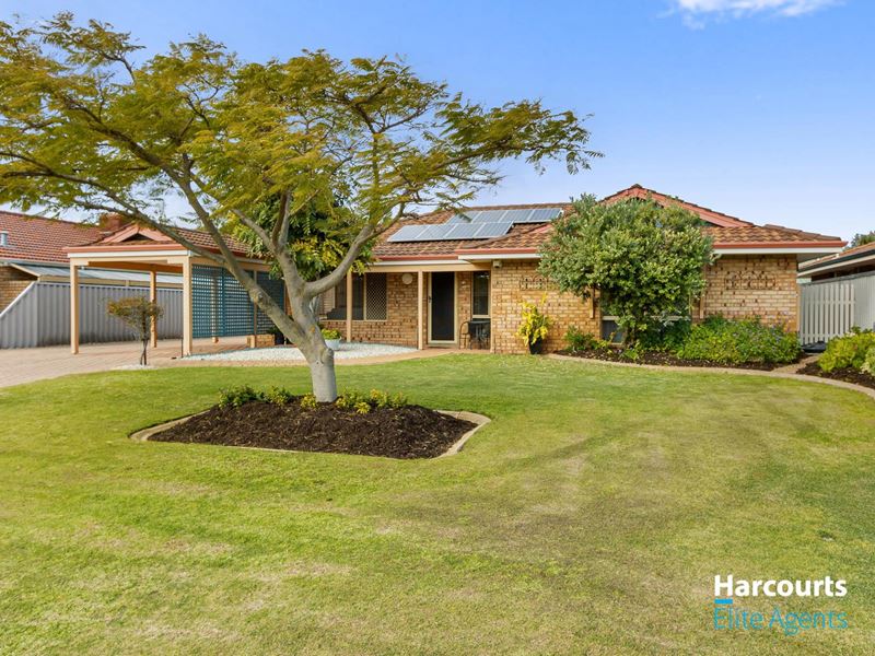 6 Blee Court, Rockingham WA 6168