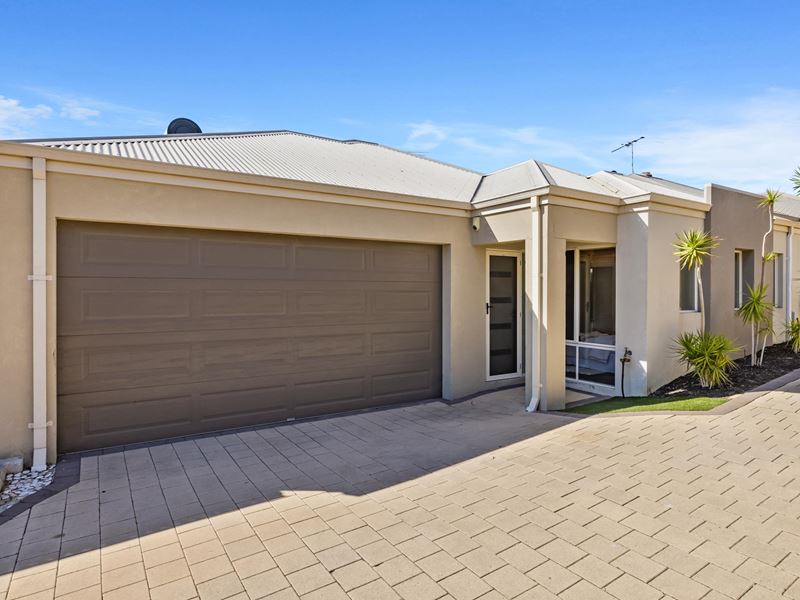 443B Karrinyup Road, Innaloo