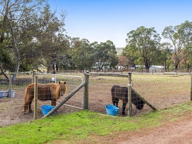 16 Wychwood Close, Bullsbrook WA 6084