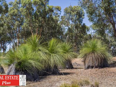 457 Werribee Road, Wundowie WA 6560