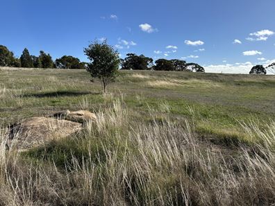 Lot 323,  Robinson Road, Woodanilling WA 6316