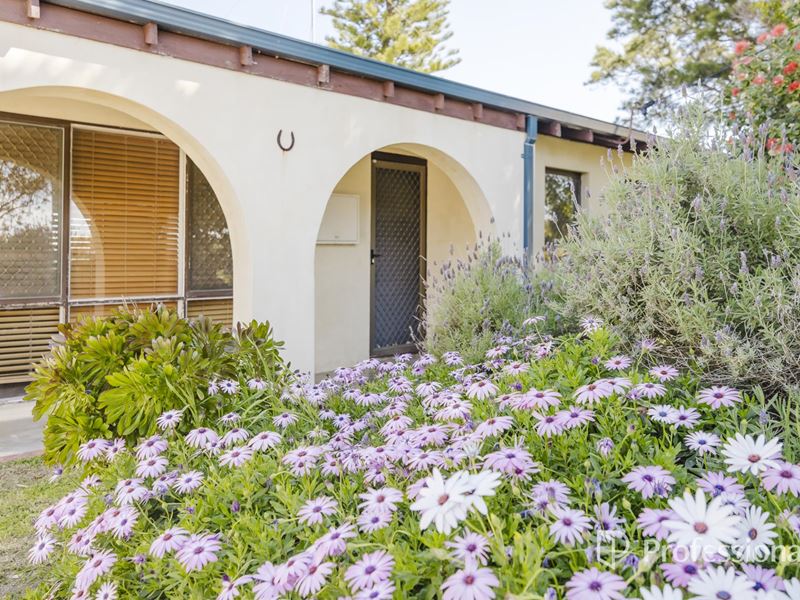 16 Forrest Grove, Two Rocks WA 6037