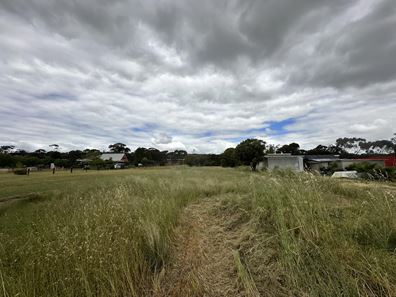38 Lavender Street, Williams WA 6391